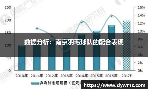 数据分析：南京羽毛球队的配合表现
